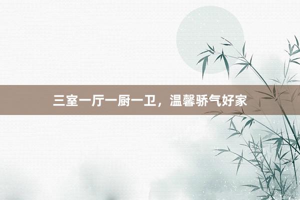 三室一厅一厨一卫，温馨骄气好家