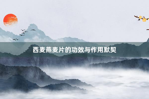 西麦燕麦片的功效与作用默契